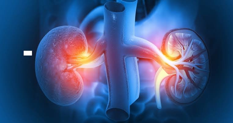 Nephrology Facility Image 2